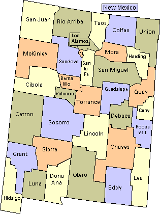 New Mexico Map of Counties