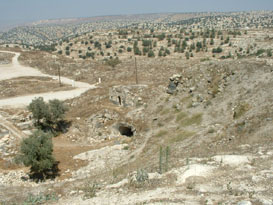 Hillside in Jordan