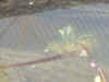 yb-slider.jpg (3951 bytes)