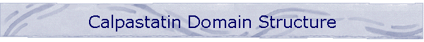 Calpastatin Domain Structure