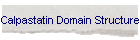 Calpastatin Domain Structure
