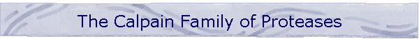 The Calpain Family of Proteases