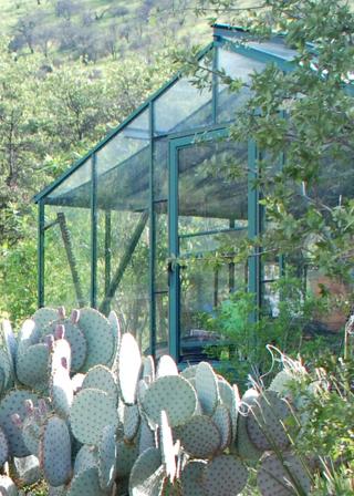 greenhouse with prickly pear in front and mountains and trees in background (Susan Pater / UA Cooperative Extension)