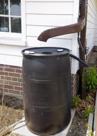 black rainwater harvesting barrel with brown downspout (shutterstock:77270608 (C) Alison Hancock)