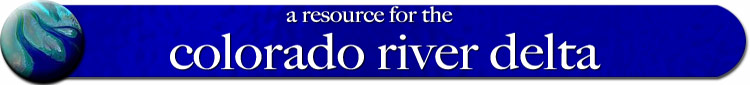 colorado river delta el nino