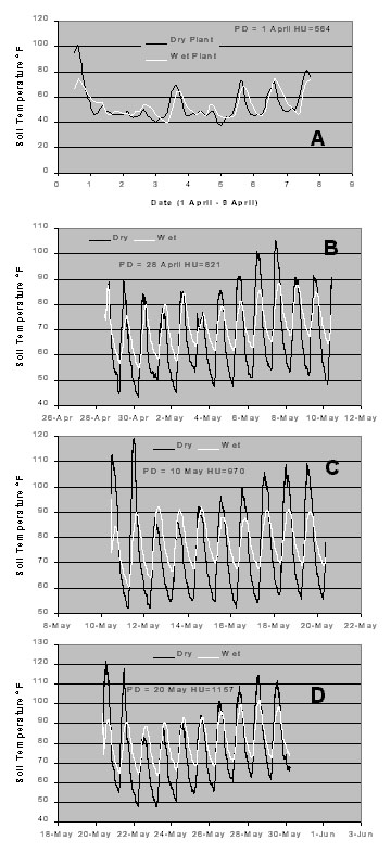 Figures 1A-1D. Soil temperature responses at the depth of seeding for dry and wet planting conditions at four dates of planting, Marana, AZ, 1999.