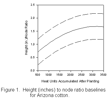 Figure 1. Graph of Height (inches) to node ratio baselines for Arizona cotton.