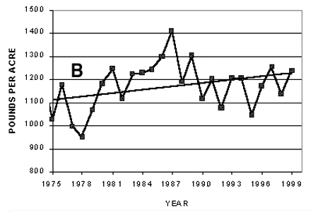 Figure 1B. Arizona yield trends.