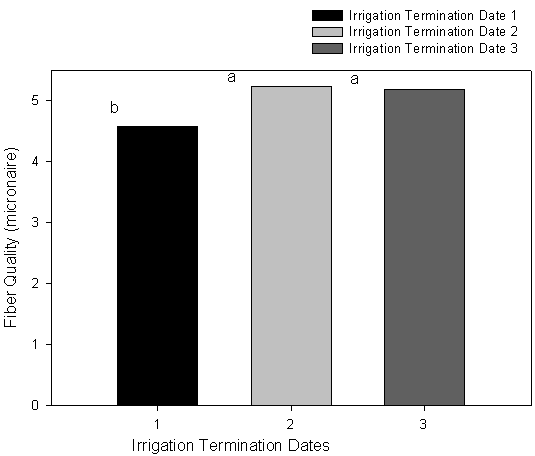  Graph of mean micronaire values as affected by irrigation termination dates for all varieties, Maricopa, 2000