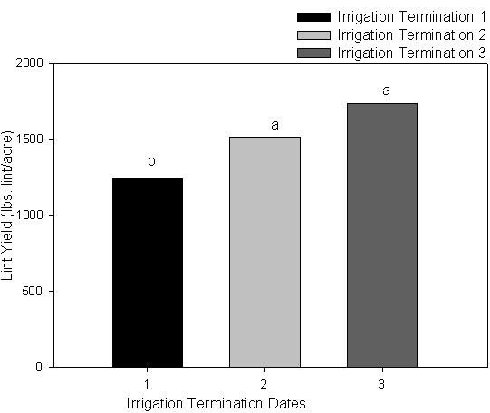 Graph of mean lint yield as affected by irrigation termination dates for all varieties, Maricopa, 2000