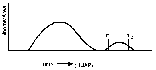 Figure 1. General cotton fruiting cycle with two hypothetical
        irrigation termination (IT) points.