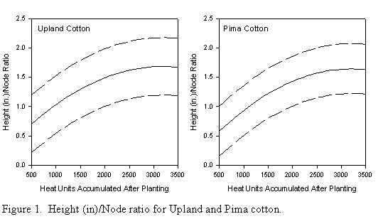 height/node ratio for Upland and Pima cotton