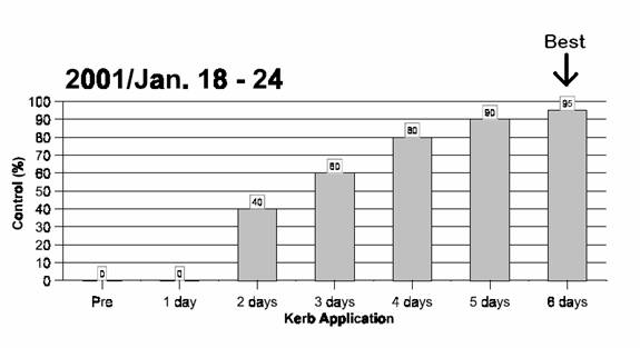 One graph showing when best control of purslane was achieved.  See text below graphs for full explanation.