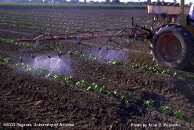 Directed sprays of insecticide being applied to melons with a conventional sprayer.   