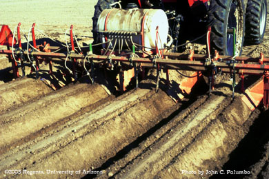 Sub-surface application of Admire to lettuce beds