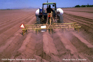 Sub-surface application of Admire to lettuce beds