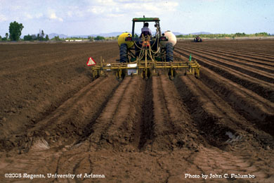 Sub-surface application of Admire to lettuce beds
