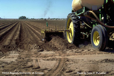Sub-surface application of Admire to lettuce beds