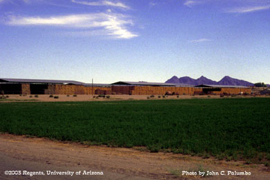 Hay storage in the Dome Valley