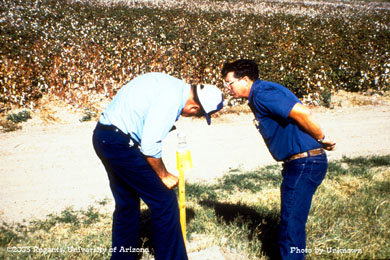 Louie Bariola, Don Howell