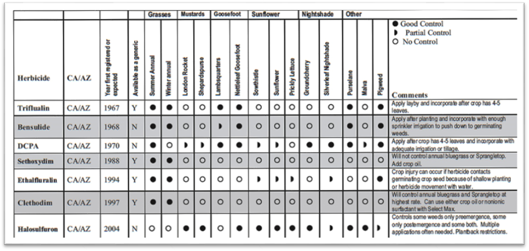 VIPM_Update_Vol_6_Num_5_003.png