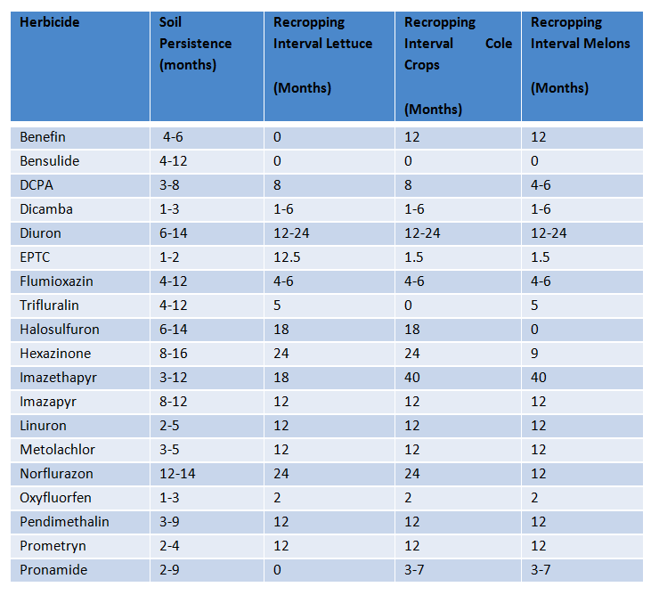 VIPM_Update_Vol_8_Num_22_SNIP_001.png