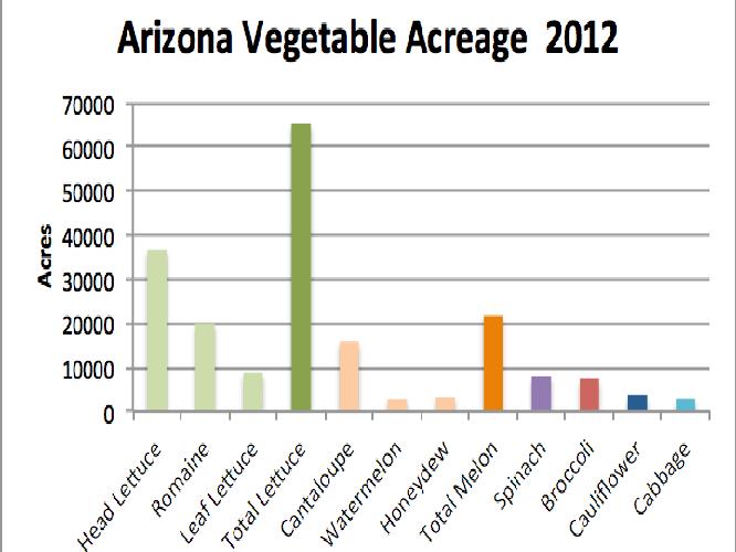 Herbicides Registered for Vegetable Crops