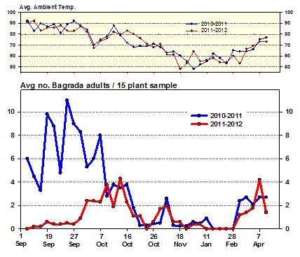 Bagrada Activity Graph