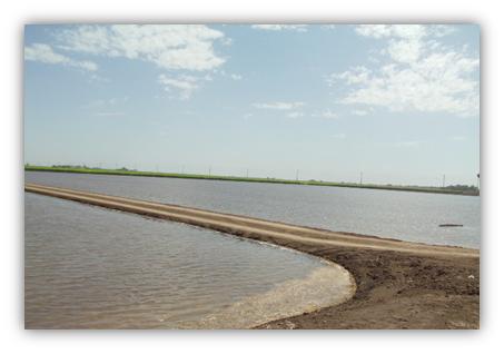 flooded field