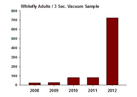 Whitefly Activity Graph