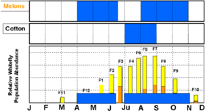 Graph showing whitefly generations in a cotton-melon community.  Neonicotinoid use can span from July to September in cotton and from April through mid-June and August through November in melons. 
