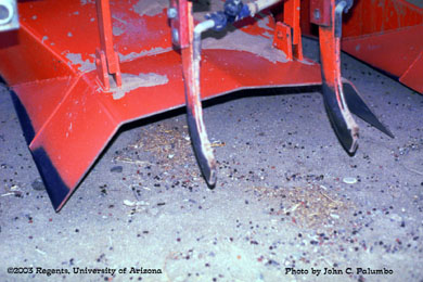 Sub-surface application of Admire to lettuce beds
