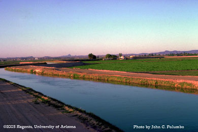West main canal in the Yuma Valley for delivering irrigation water to crops