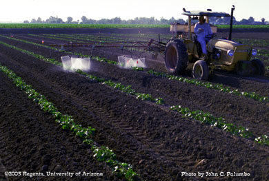 Melons plots being sprayer with a hydraulic sprayer