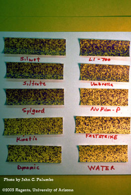 Measuring spray deposition of Confirm and various adjuvants on head lettuce using water sensitive spray cards