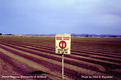 ICommon field posting following the application of a restricted use pesticide in Arizona.