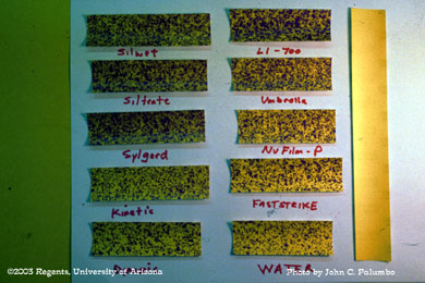 Measuring spray deposition of Confirm and various adjuvants on head lettuce using water sensitive spray cards