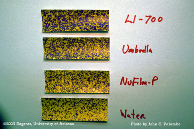 Measuring spray deposition of Confirm and various adjuvants on head lettuce using water sensitive spray cards