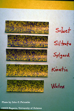 Measuring spray deposition of Confirm and various adjuvants on head lettuce using water sensitive spray cards