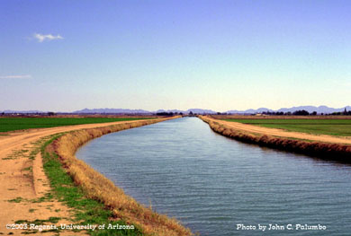 Irrigation canal delivering water to Yuma Valley vegetables from the Colorado River