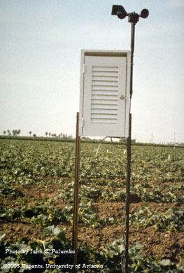 Weather station placed in melon plots at the Yuma Valley Agricultural Center