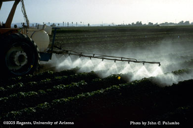 Melons plots being sprayer with a hydraulic sprayer