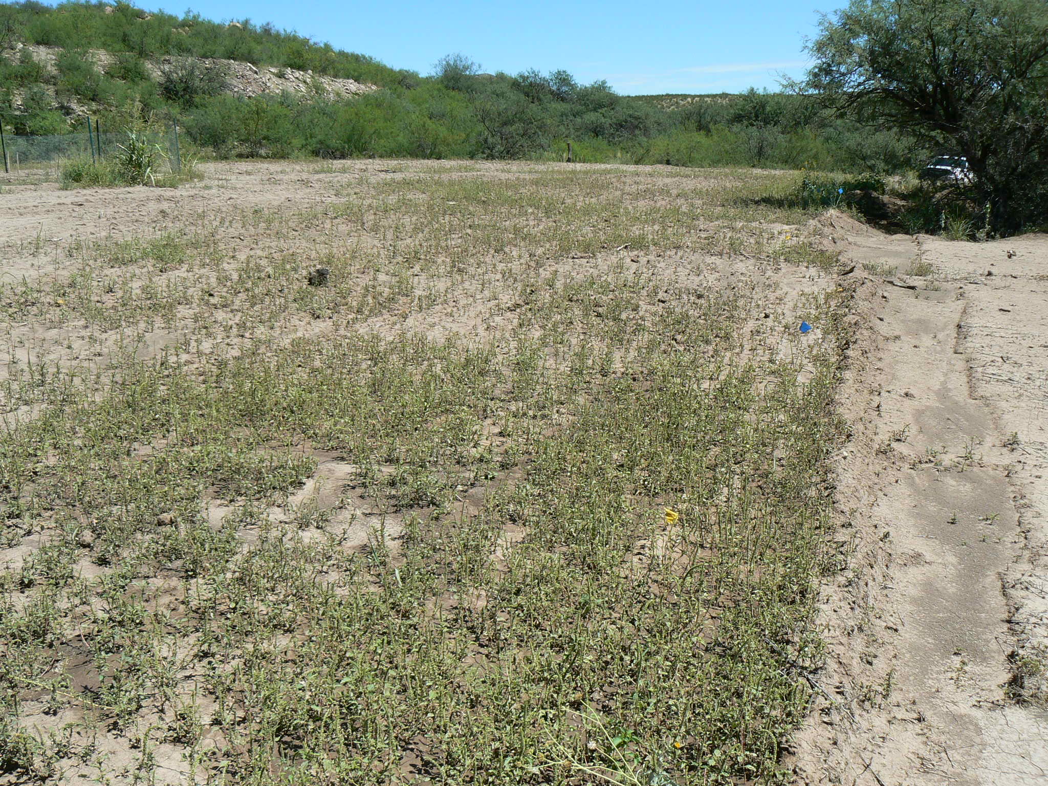 border alon North and South halves of Impoundment