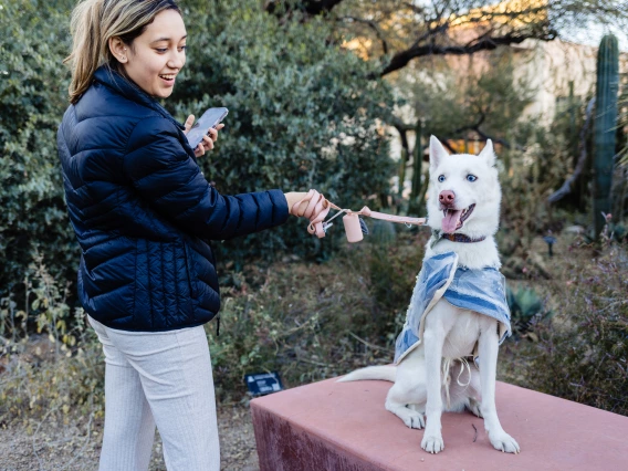 Dogs in Denim Fashion Show