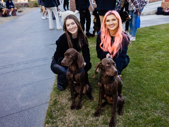 Dogs in Denim Fashion Show