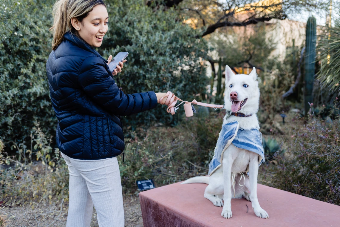 Dogs in Denim Fashion Show