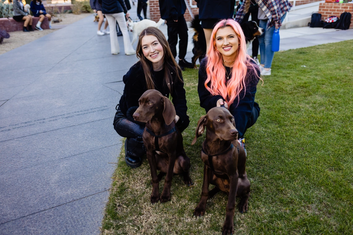 Dogs in Denim Fashion Show