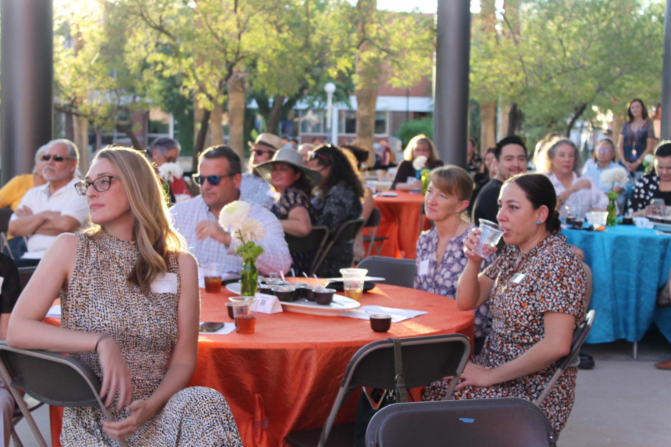 Crowd shot at Vision Awards