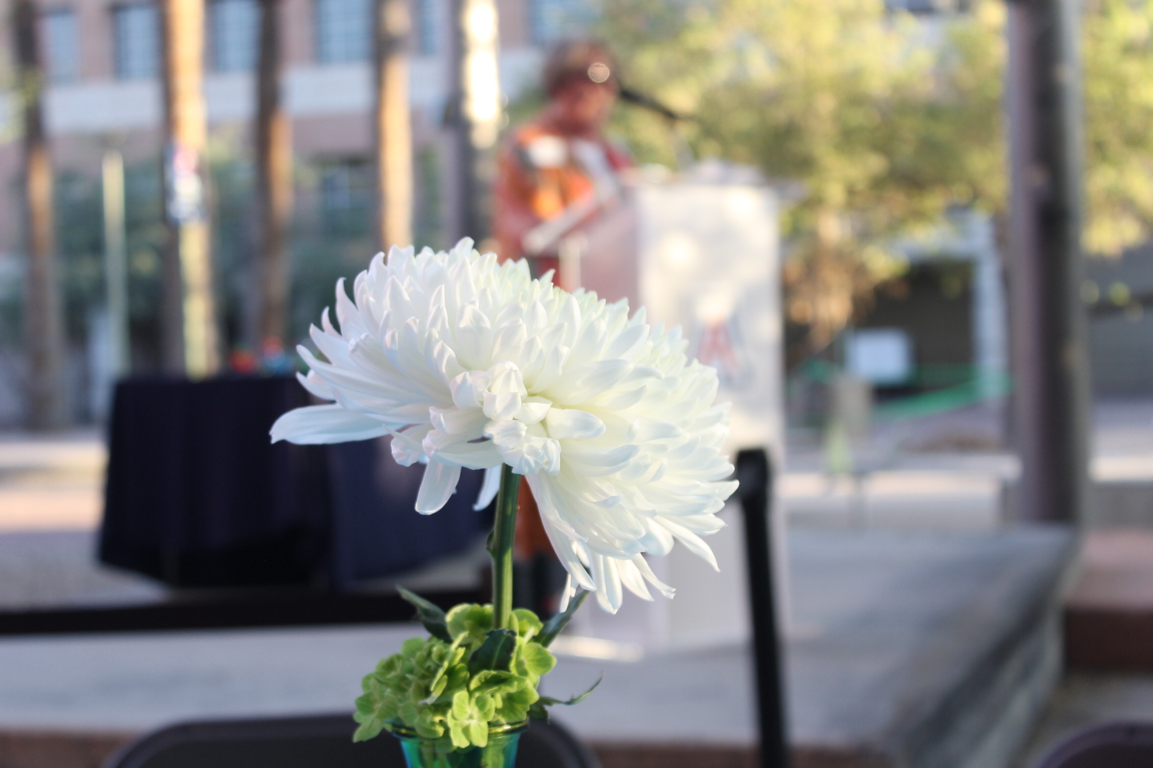 Crowdshot of a flower