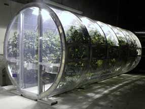 Lunar Greenhouse Chamber 1